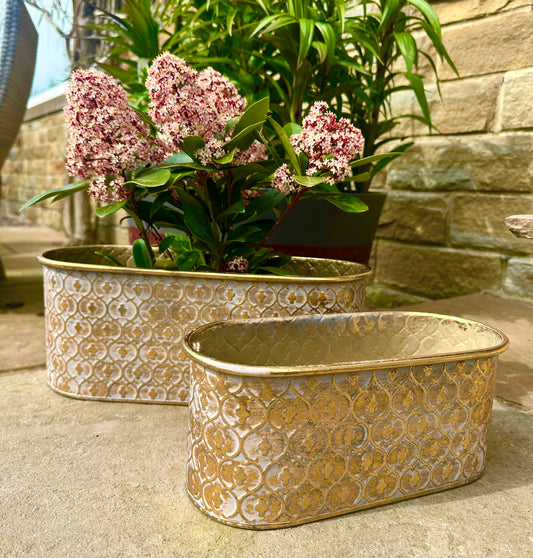 Gold-Brushed Oval Planters