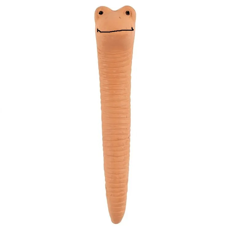 Willy The Worm Terracotta Water Sensor