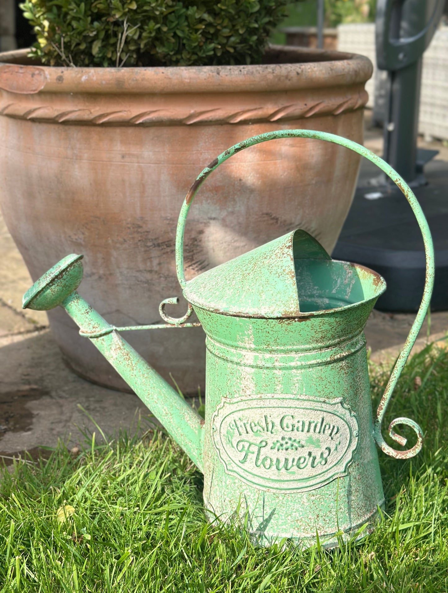 Watering Can Flower Vase