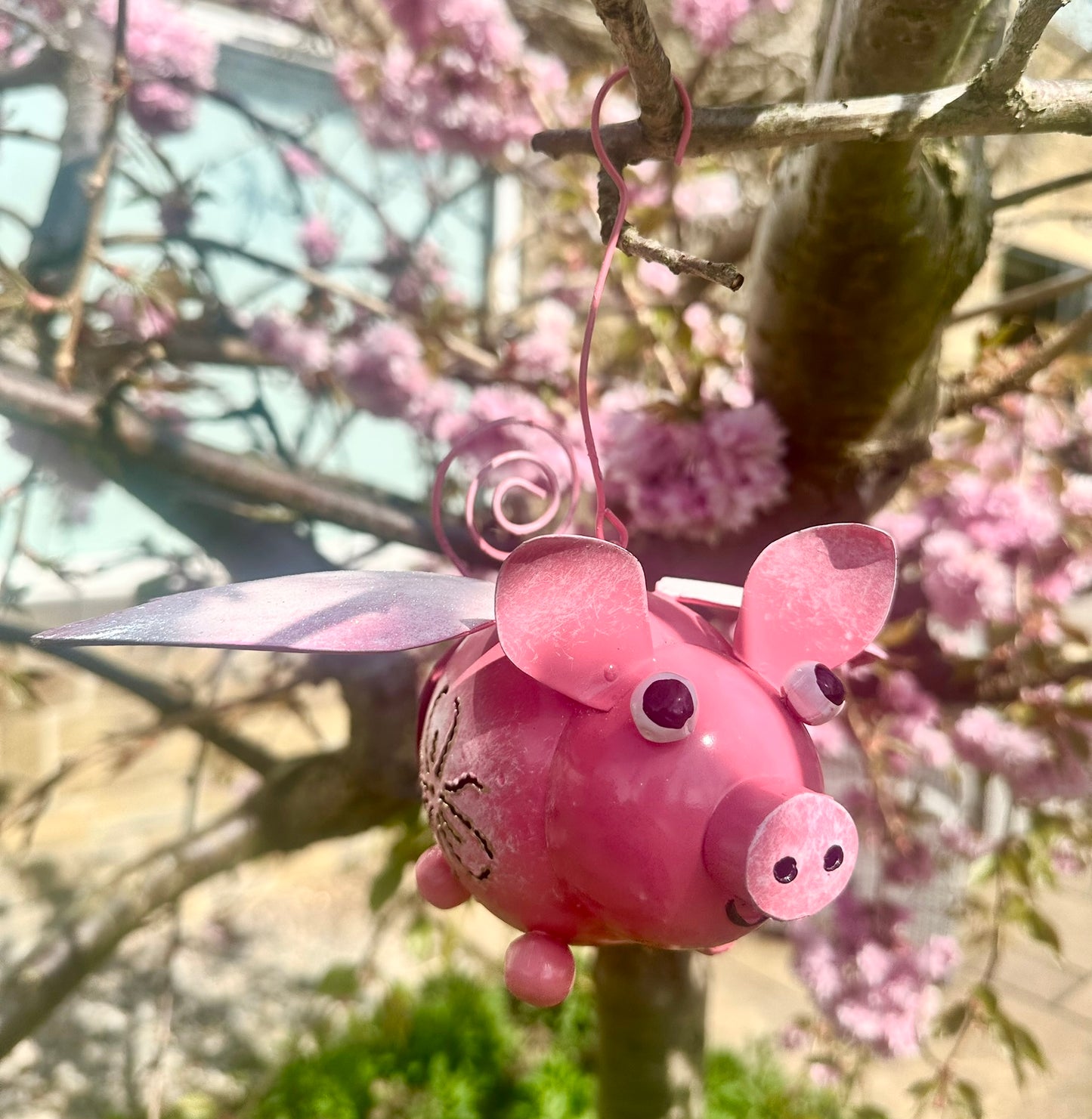 Pink flying pig ornament tealight holder hanging from a tree with pink blossoms.