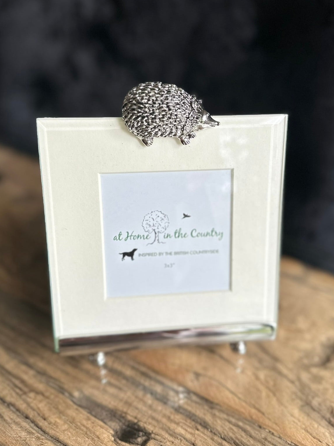 Silver Hedgehog Photo Frame