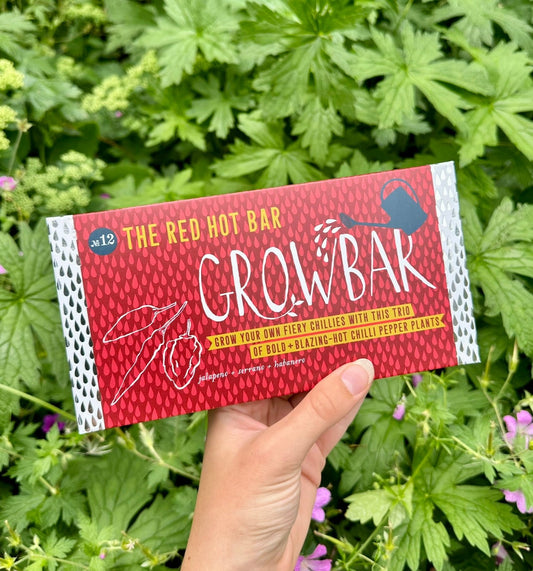 red hot chilli growbar