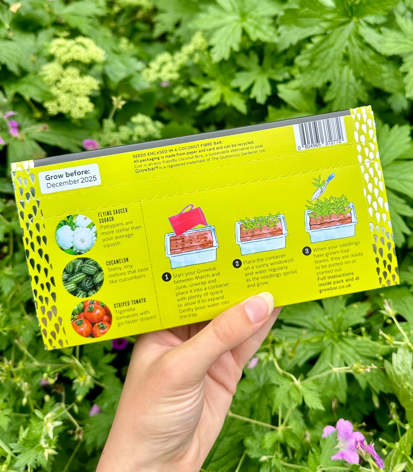 The Weird Veg Bar | Growbar