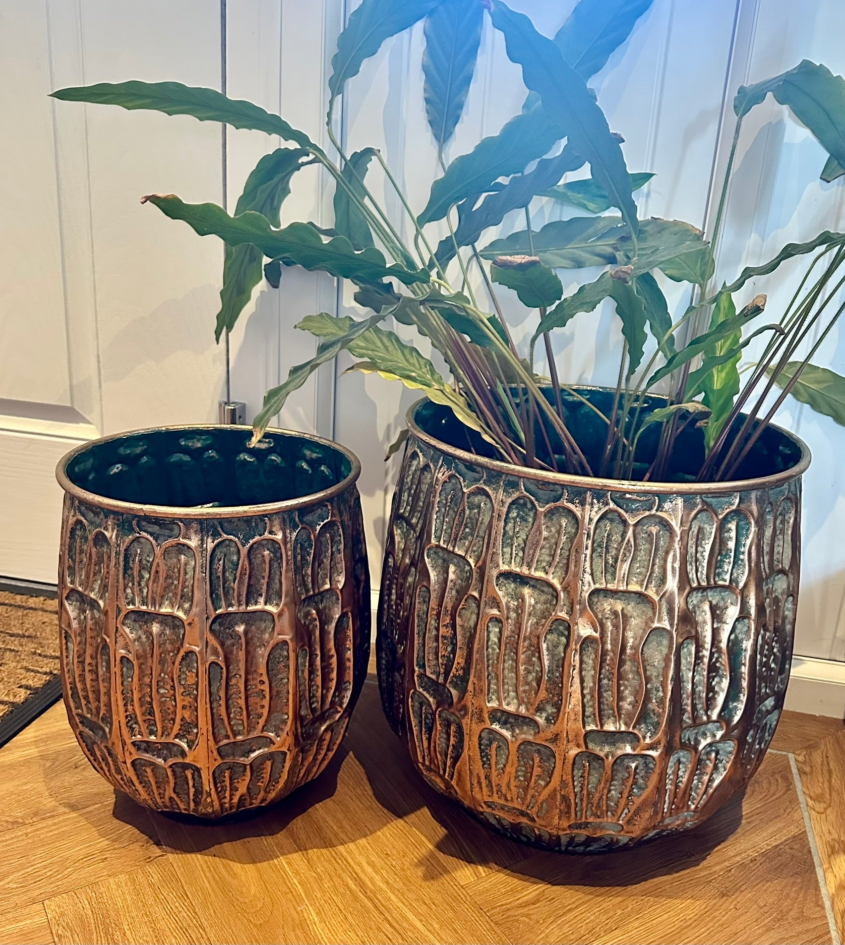 both of the planters, both sizes