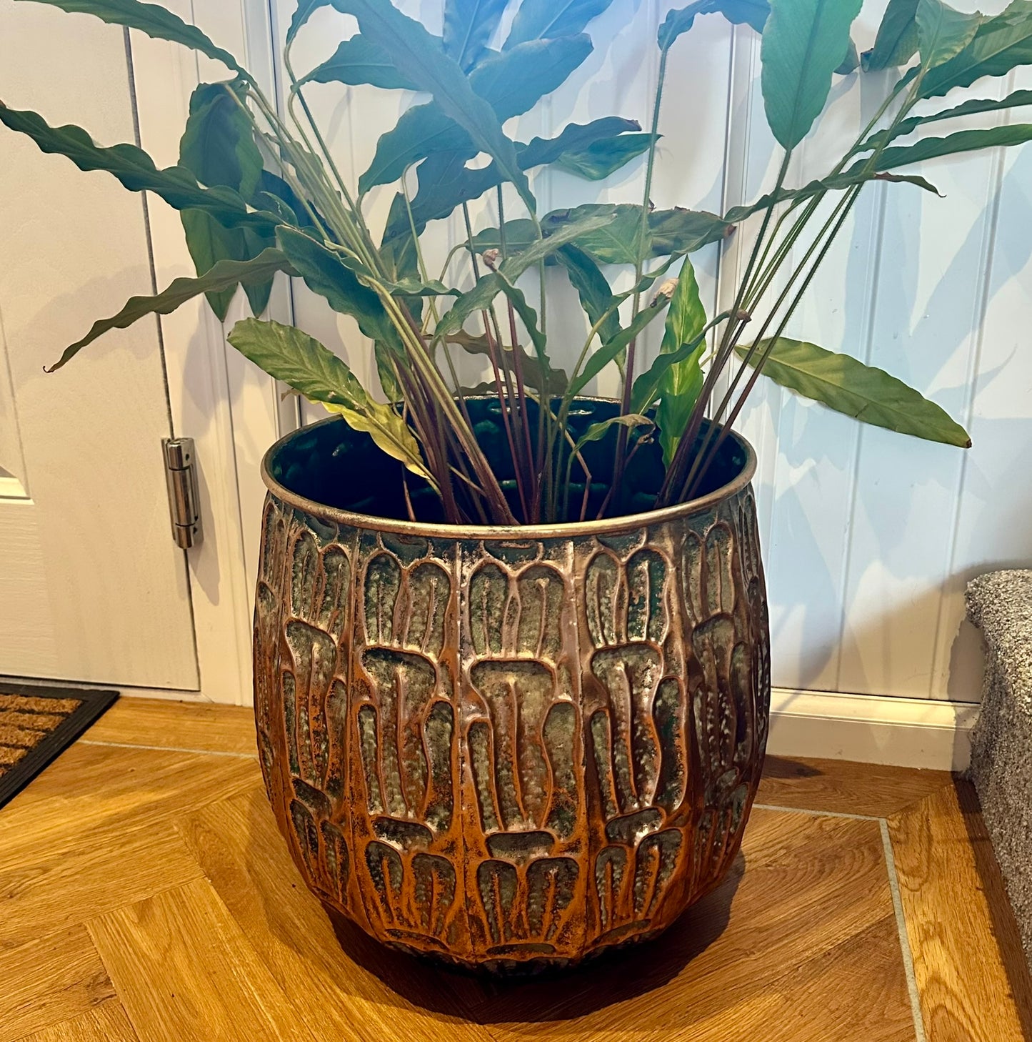 the larger plant pot