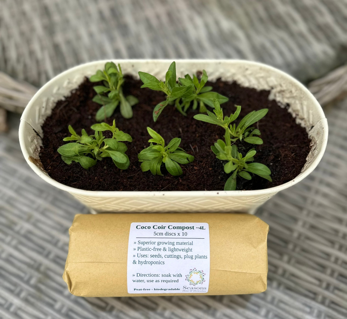 the package of disks.