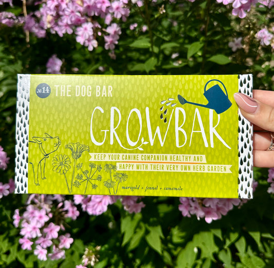 Plantable dog-friendly herb growbar, perfect gift for pet lovers and eco gardeners