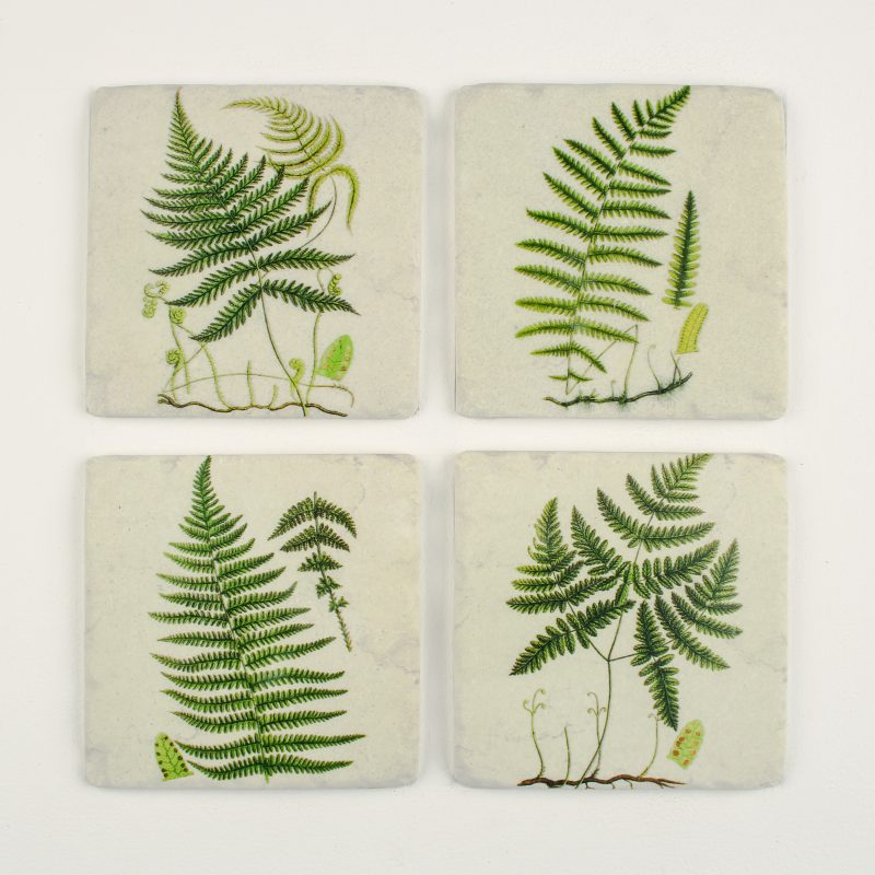 Fern leaf coasters with botanical design, stylish nature-inspired stone and cork drinks mats for modern home décor and elegant table settings.