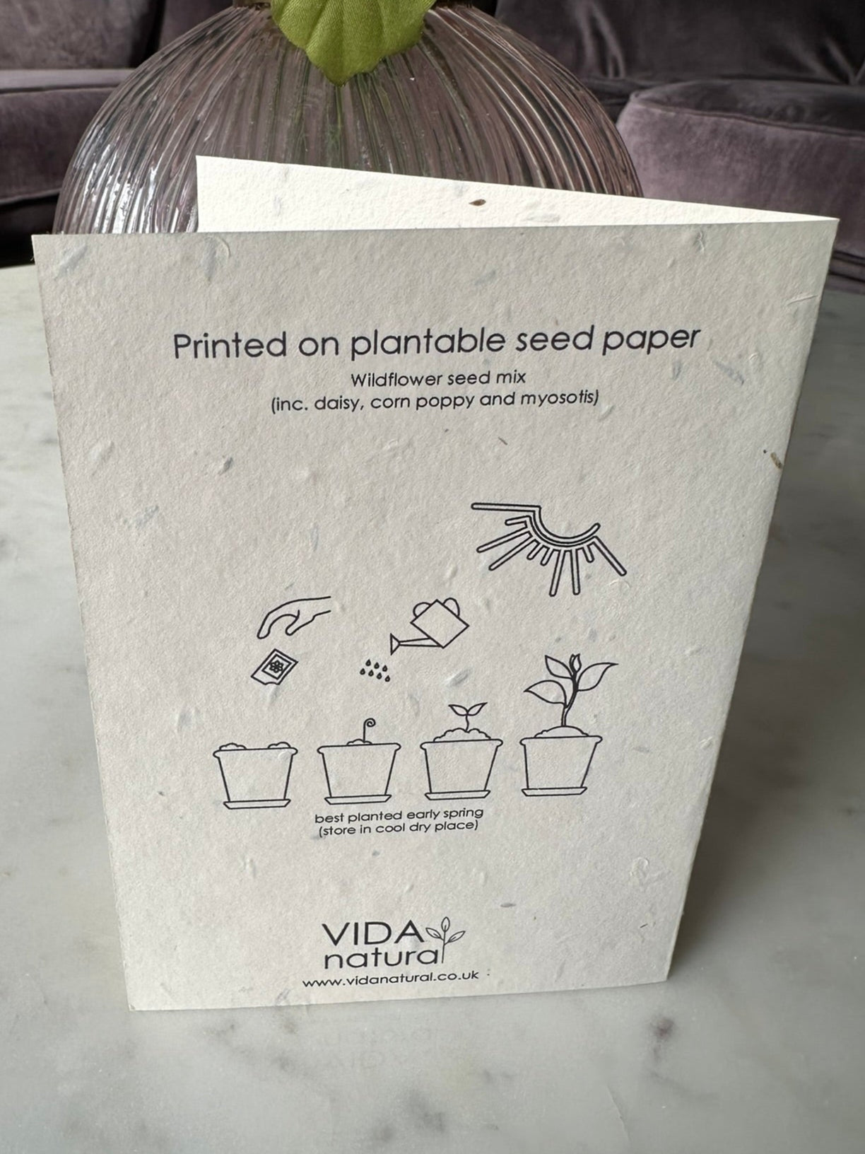 the reverse side of the wildflower seed card, showcasing the instructions
