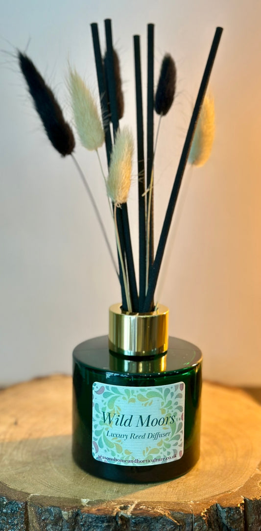 Wild Moors Christmas diffuser with bergamot, amber, and cedarwood scent, vegan and cruelty-free festive home fragrance gift.