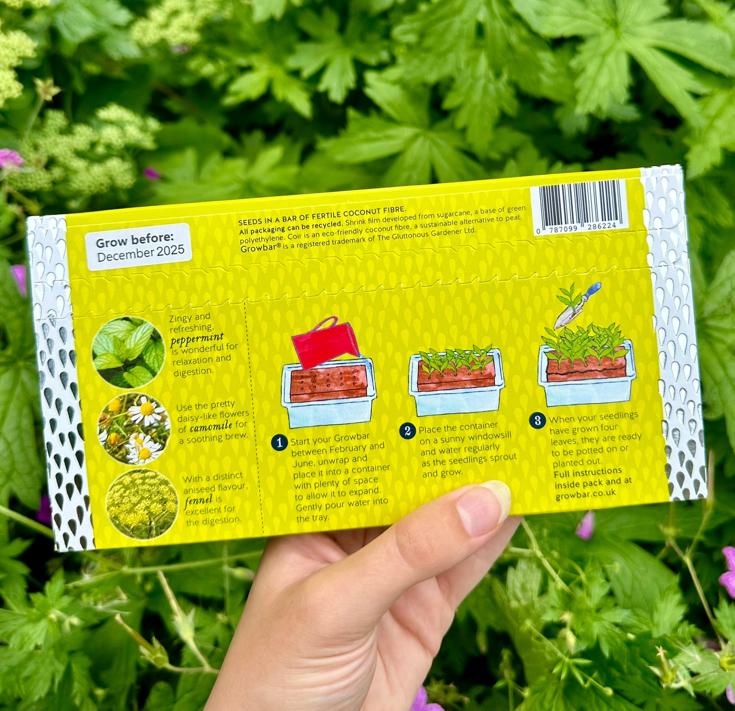 the tea growbar instructions