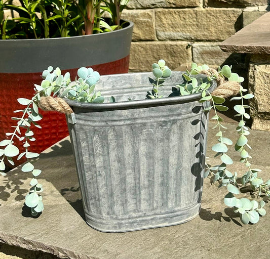 item as a plant pot