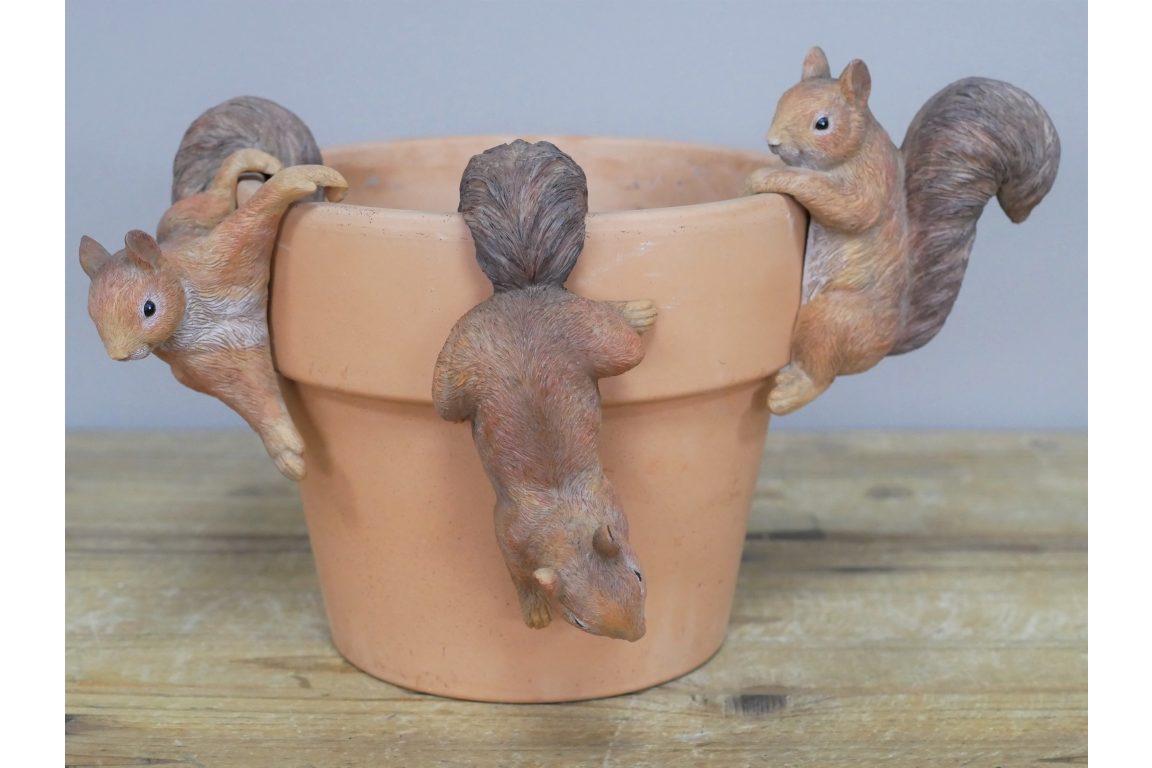three squirrel plant pot huggers