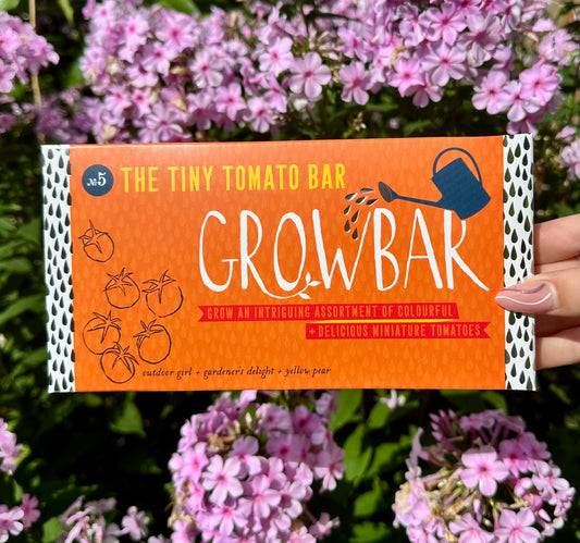 Grow your own sweet bite‑sized tomatoes on a sunny windowsill — ideal for kitchen gardeners