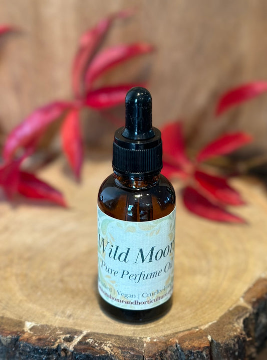 Wild Moors perfume oil for oil burners with bergamot, amber, and cedarwood — a rich earthy home fragrance perfect for relaxation and luxury décor.