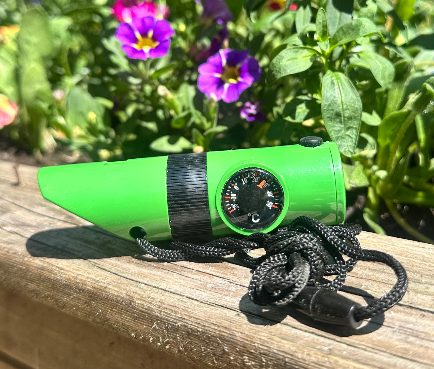 Nature Trail Whistle, Compass & More