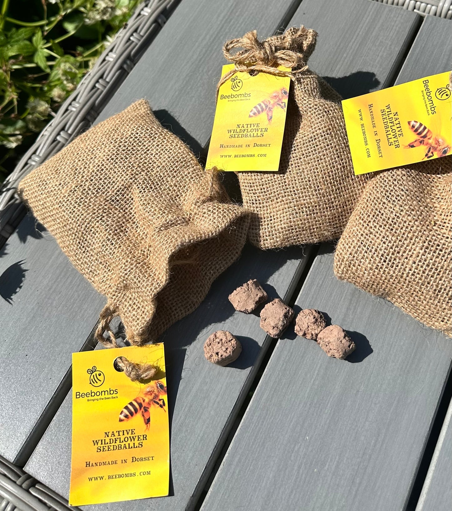 BeeBombs - Native Wildflower Seedballs