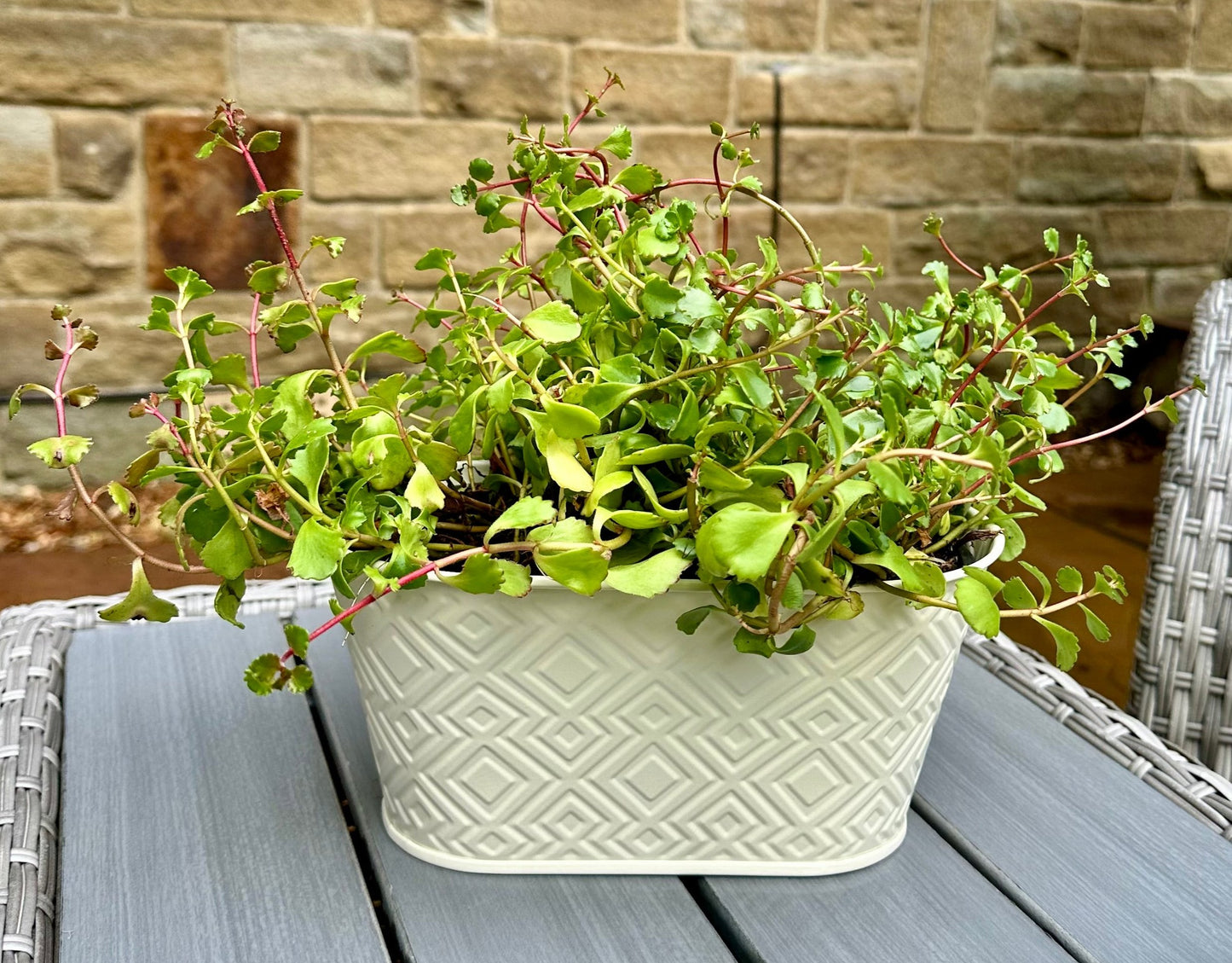 Geometric Planter