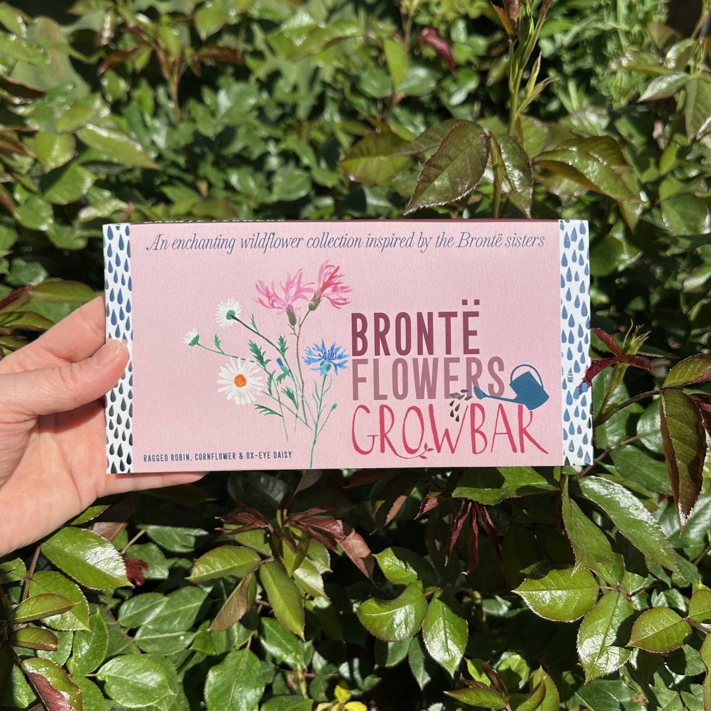 The Bronte Flowers Growbar