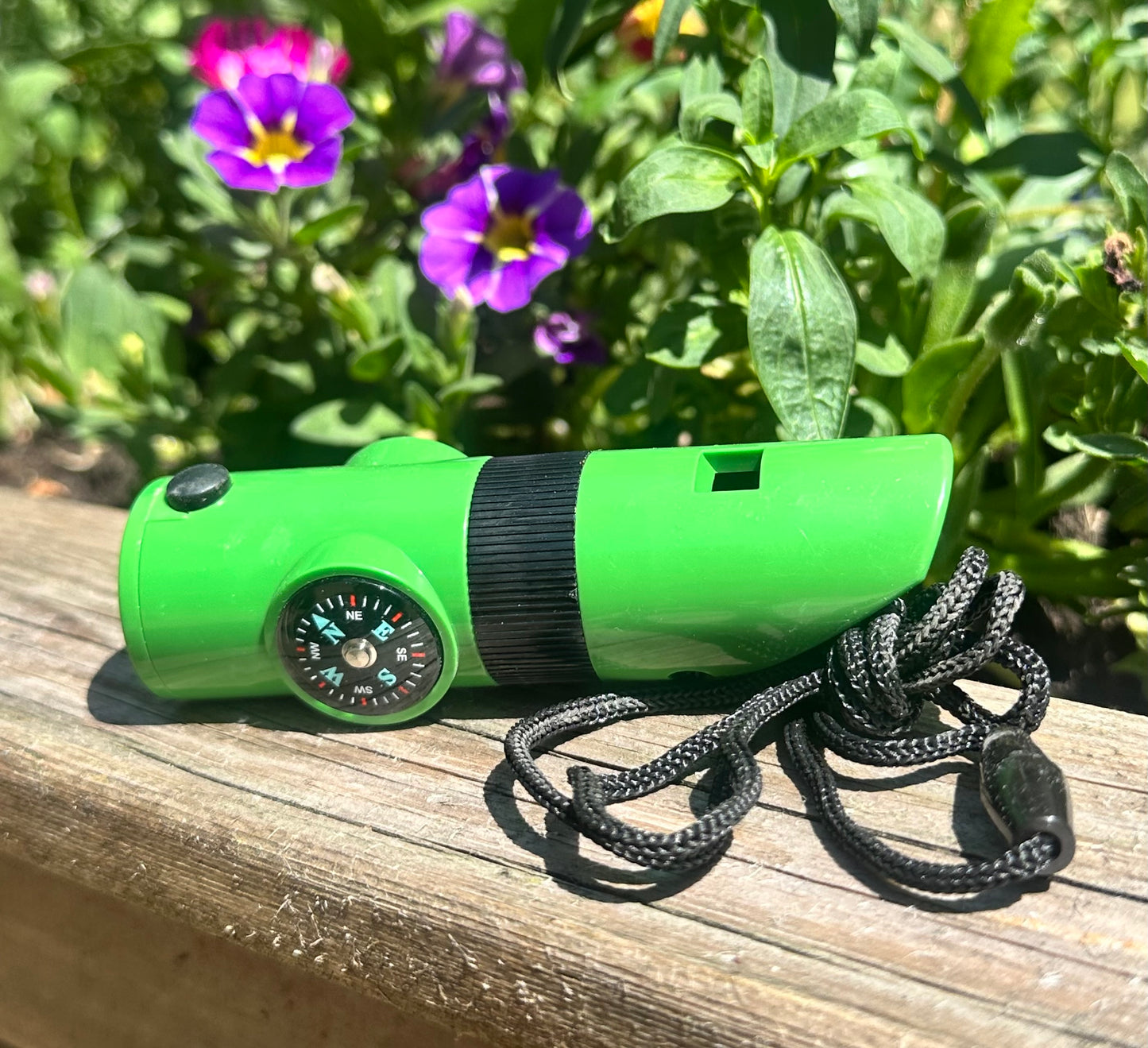 Nature Trail Whistle, Compass & More