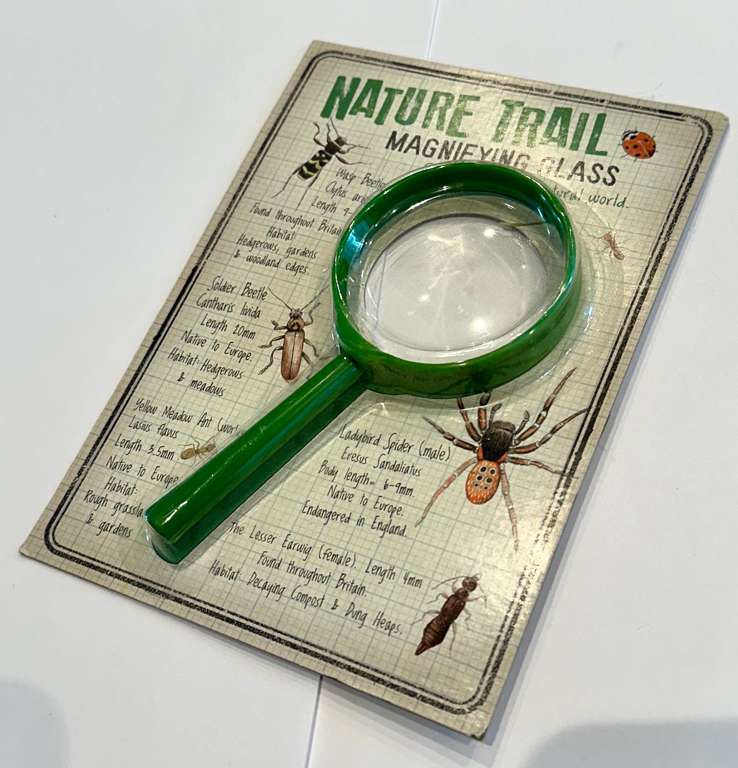 Nature Trail Magnifying Glass