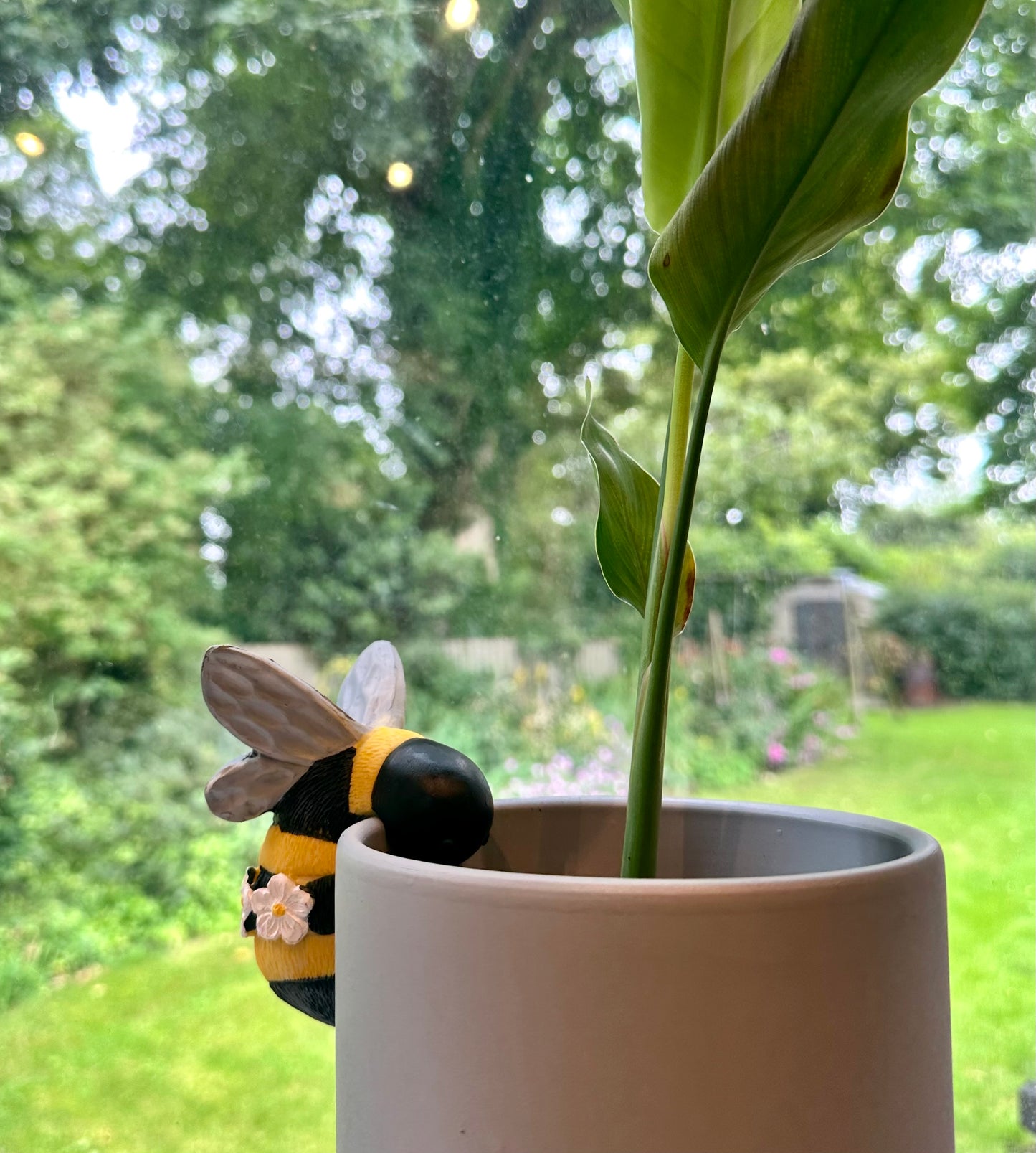 Bee Plant Pot Hugger