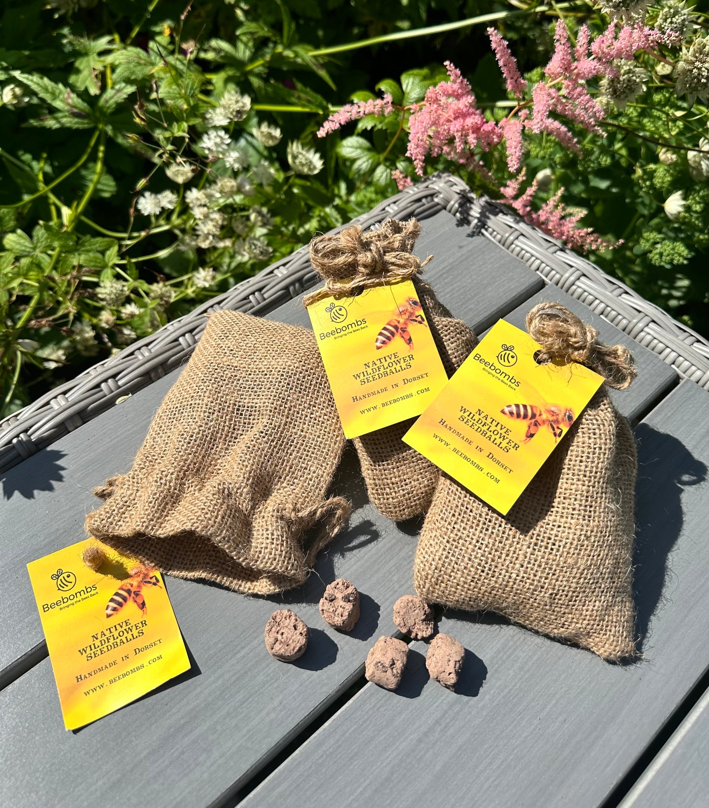 BeeBombs - Native Wildflower Seedballs