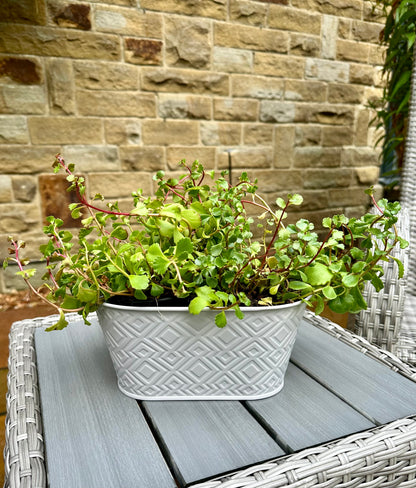 Geometric Planter