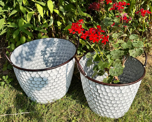 white honeycomb metal planters with red flowers on a green background