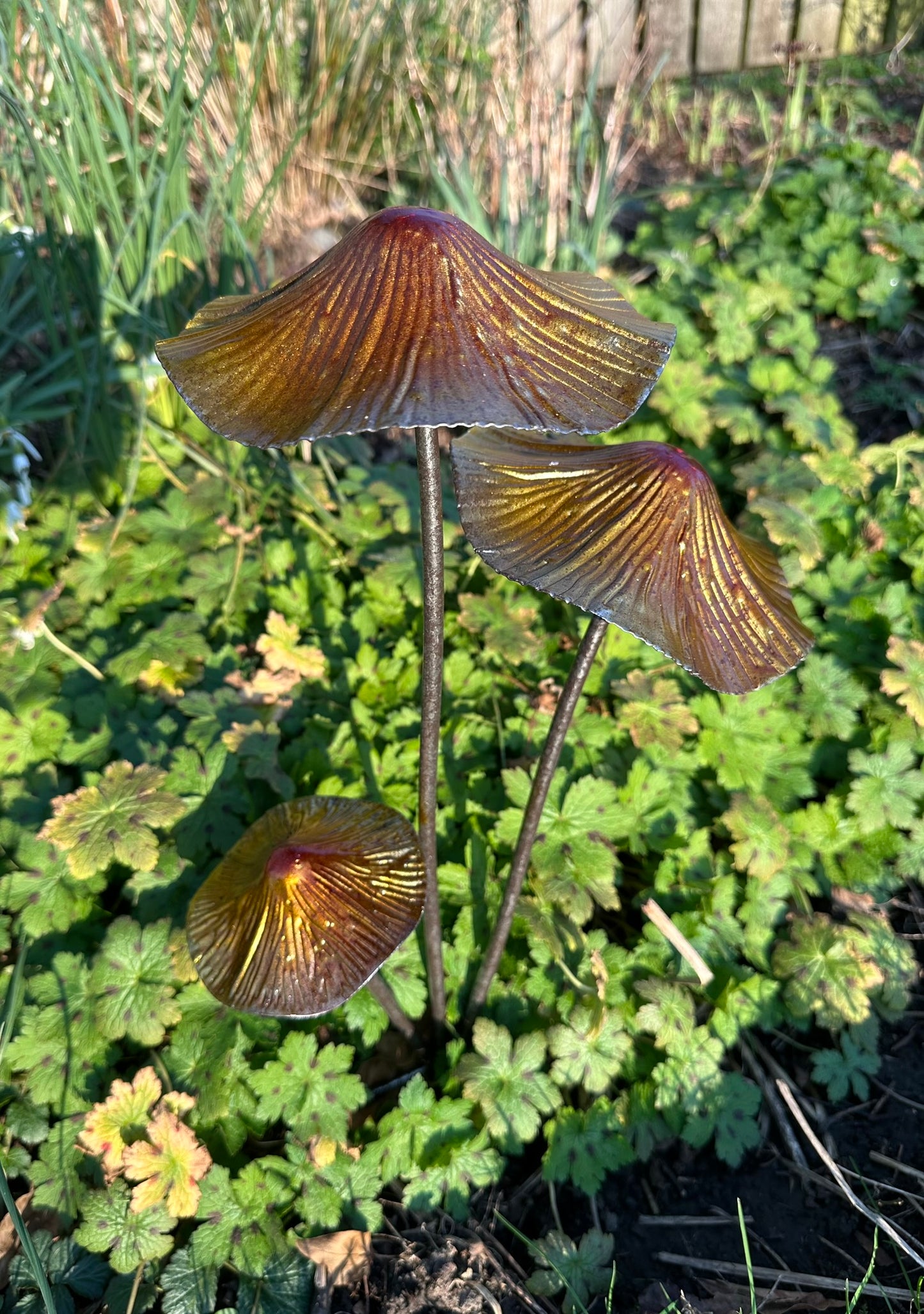 Cluster of Mushrooms Garden Stake