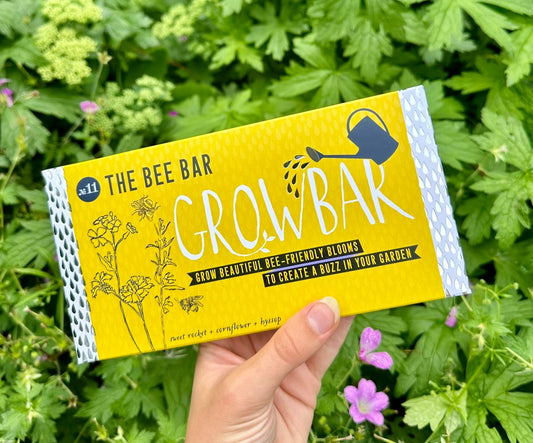 The Bee Bar | Growbar