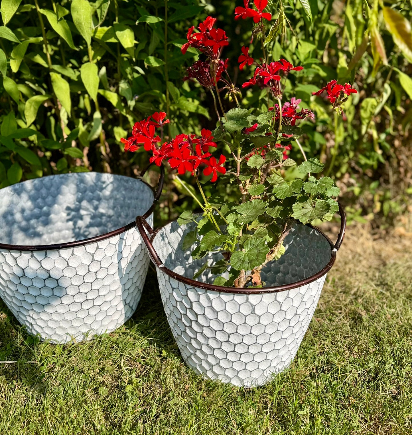 Honeycomb Metal Planters