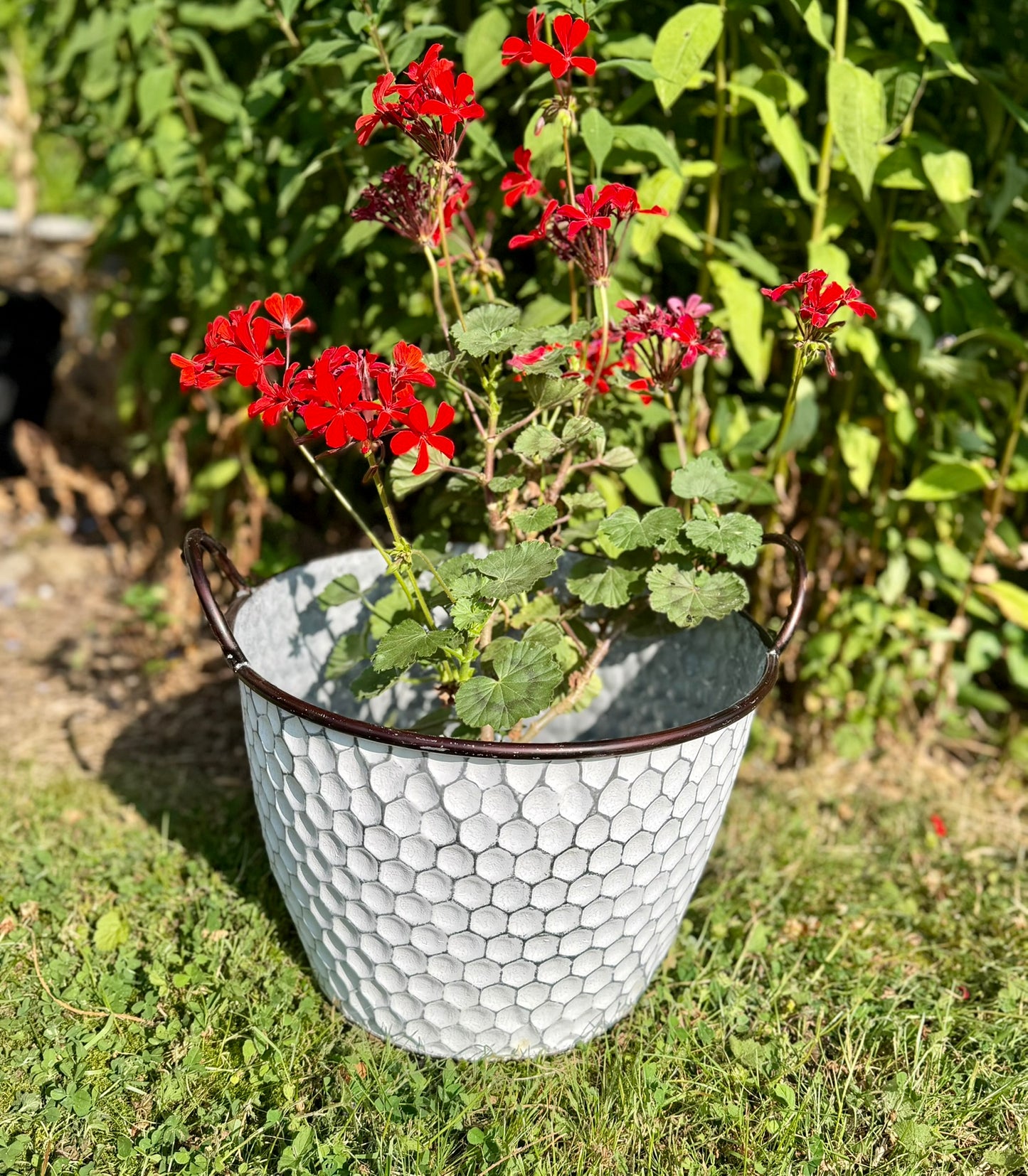 Honeycomb Metal Planters