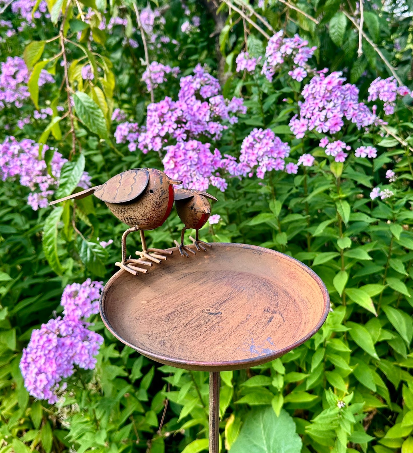 close up of the bird bath
