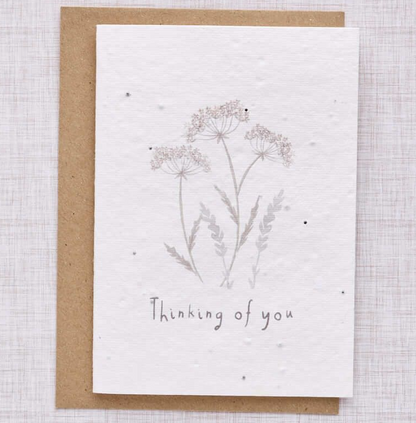 'Thinking of You' Wildflower Card | Plant Me!