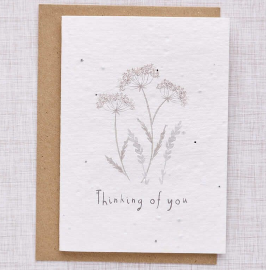 'Thinking of You' Wildflower Card | Plant Me!