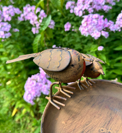 close up of the cast iron robins