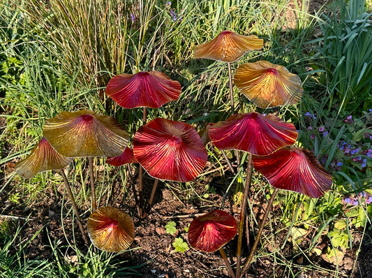 Colourful metal mushroom garden stakes displayed in flower bed outdoor garden decor for borders and landscaping