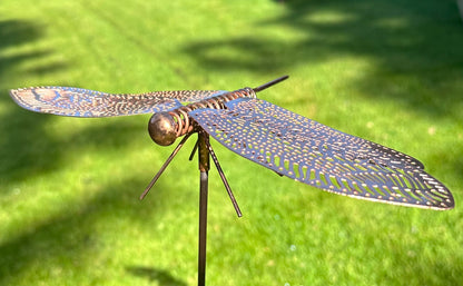 Metal dragonfly plant stake with intricate copper wings for garden borders and landscaped outdoor spaces