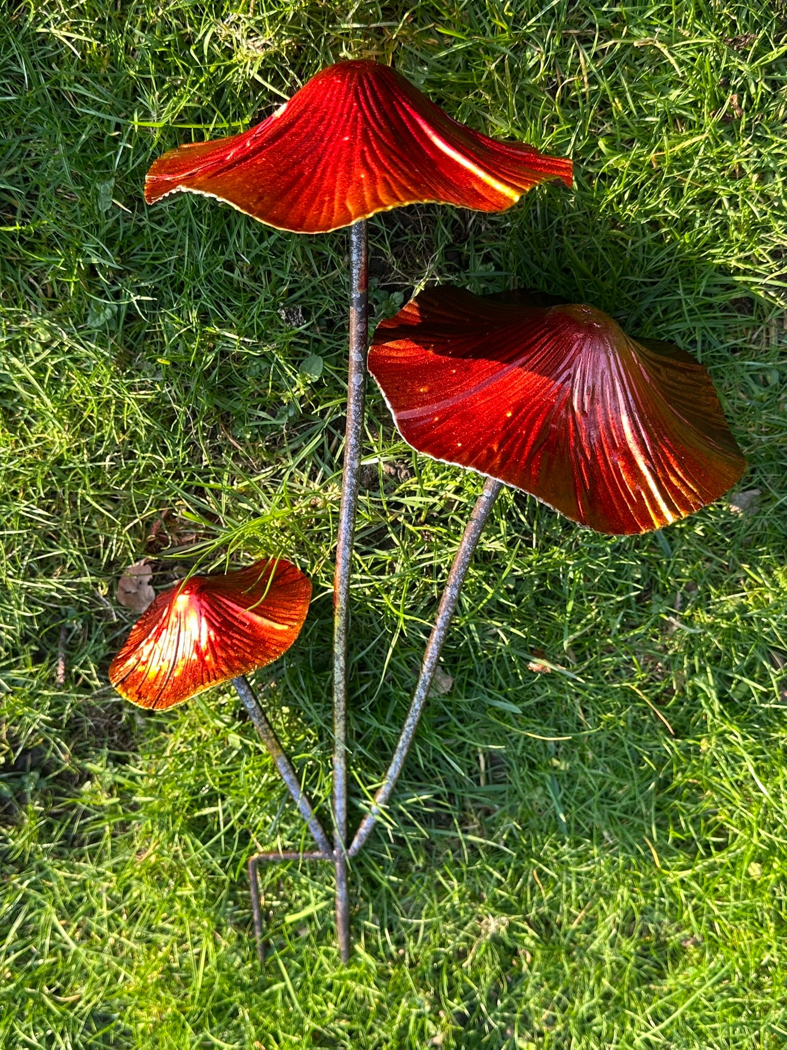 Vibrant metal fungi sculptures used as garden border decorations among ornamental grasses and plants