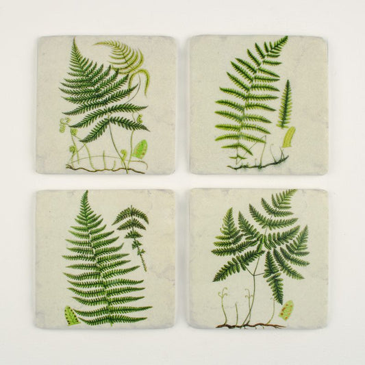 Fern leaf coasters with botanical design, stylish nature-inspired stone and cork drinks mats for modern home décor and elegant table settings.