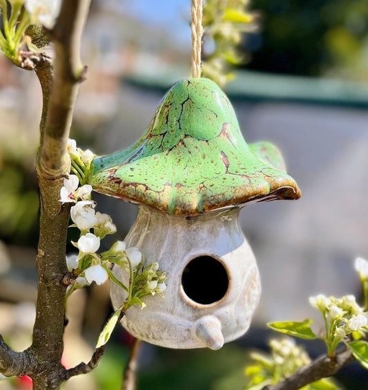 Green and white birdhouse hanging from a branch with flowers.