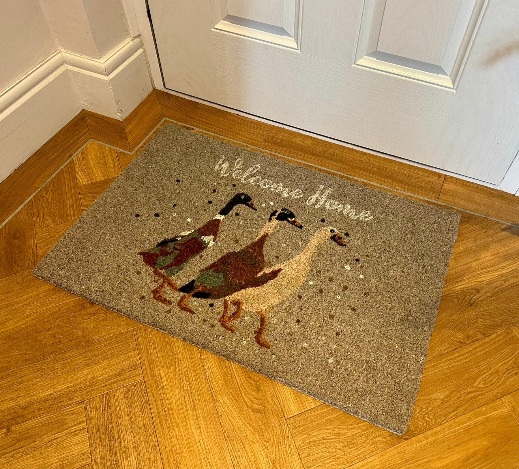 grey doormat with the words welcome hoke in script, three ducks on it. 