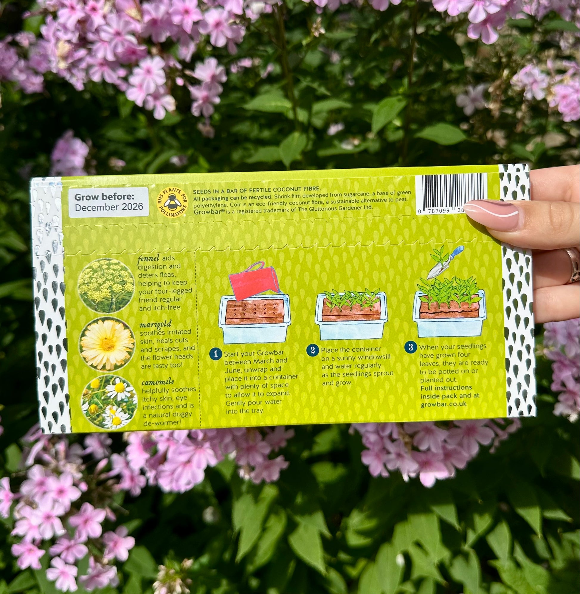 Grow your own pet-safe herbs with dog growbar, a fun and fresh gardening gift
