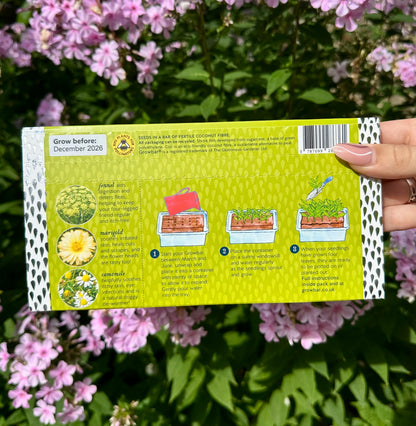 Grow your own pet-safe herbs with dog growbar, a fun and fresh gardening gift
