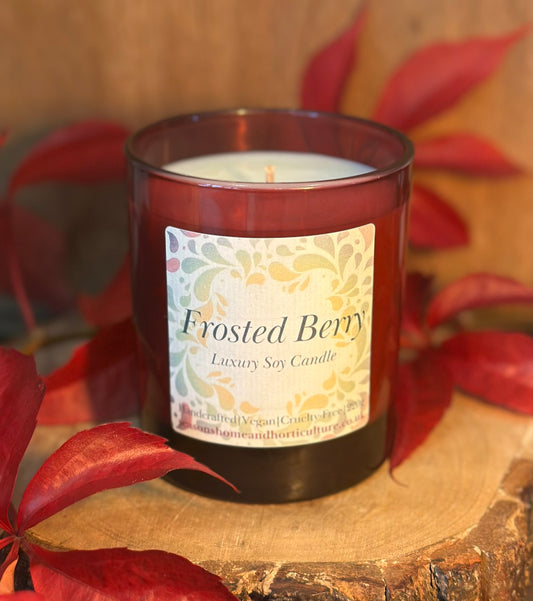 Handcrafted Frosted Berries luxury candle, soy wax with warm cinnamon, sweet vanilla, and wild berry notes, vegan and paraben-free