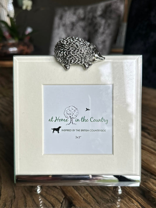 A silver photo frame with a cream border with a hedgehog motif on the top. The frame is placed on a wooden surface.