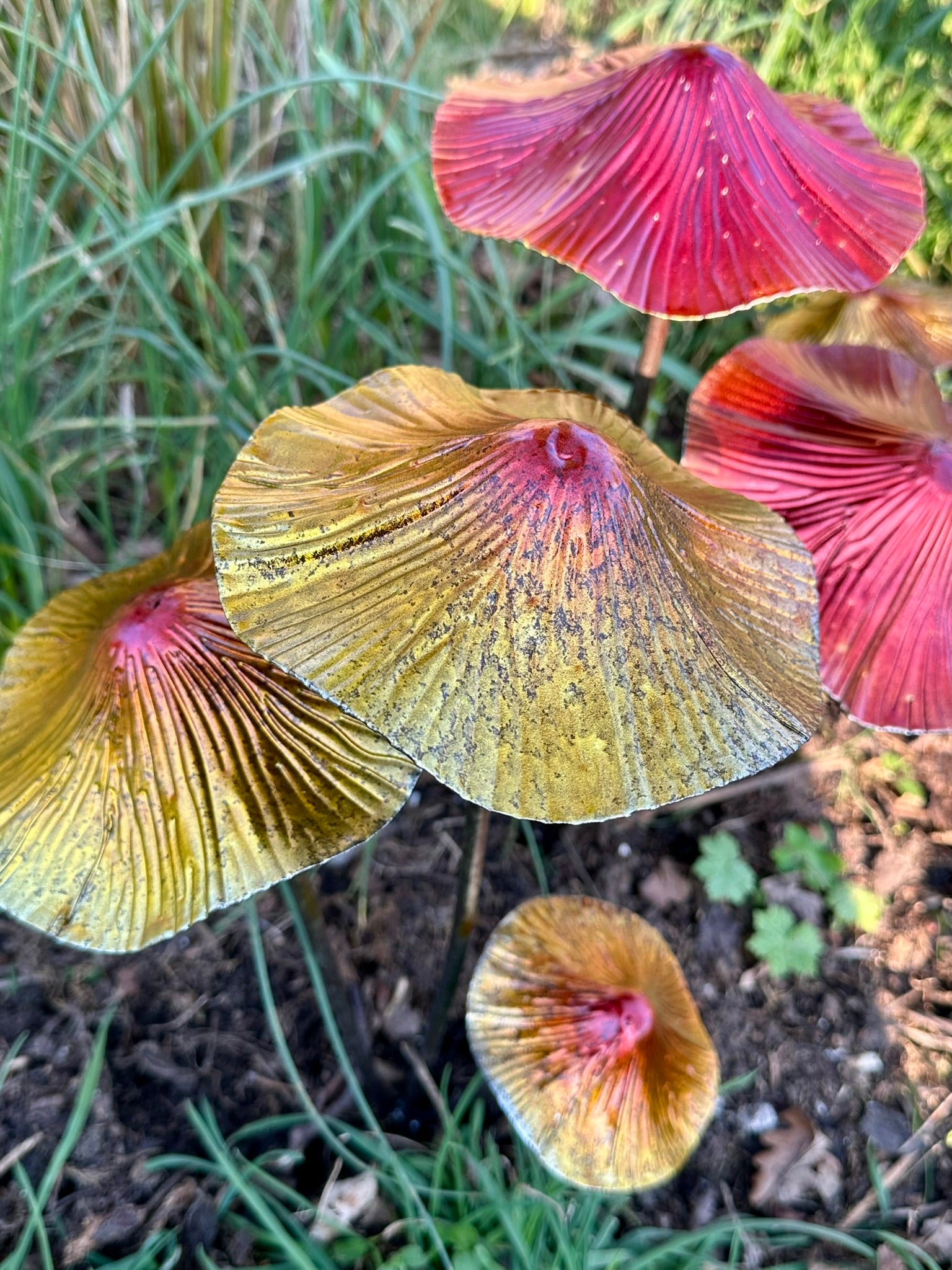 Close-up of colorful mushrooms with red and yellow caps on a natural background