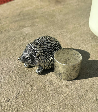 a close up of one of the hedgehogs