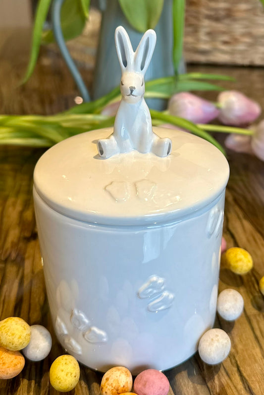 a ceramic cookie jar with the bunny lid fixed into it.